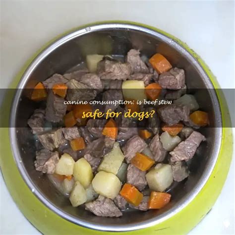 How Safe Is Beef In A Can? Consumption Tips