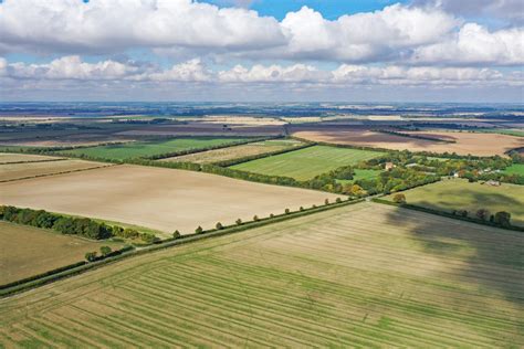 How To Manage 1000 Acres Ranch? Profitable Tips