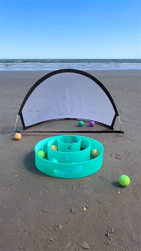 How To Set Up Flyball Game? Easy Installation Tips