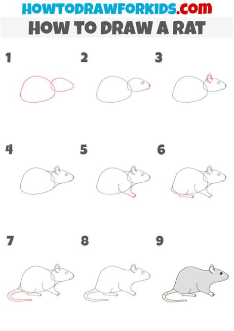 How To Tame Black And White Rat? Stepbystep Guide