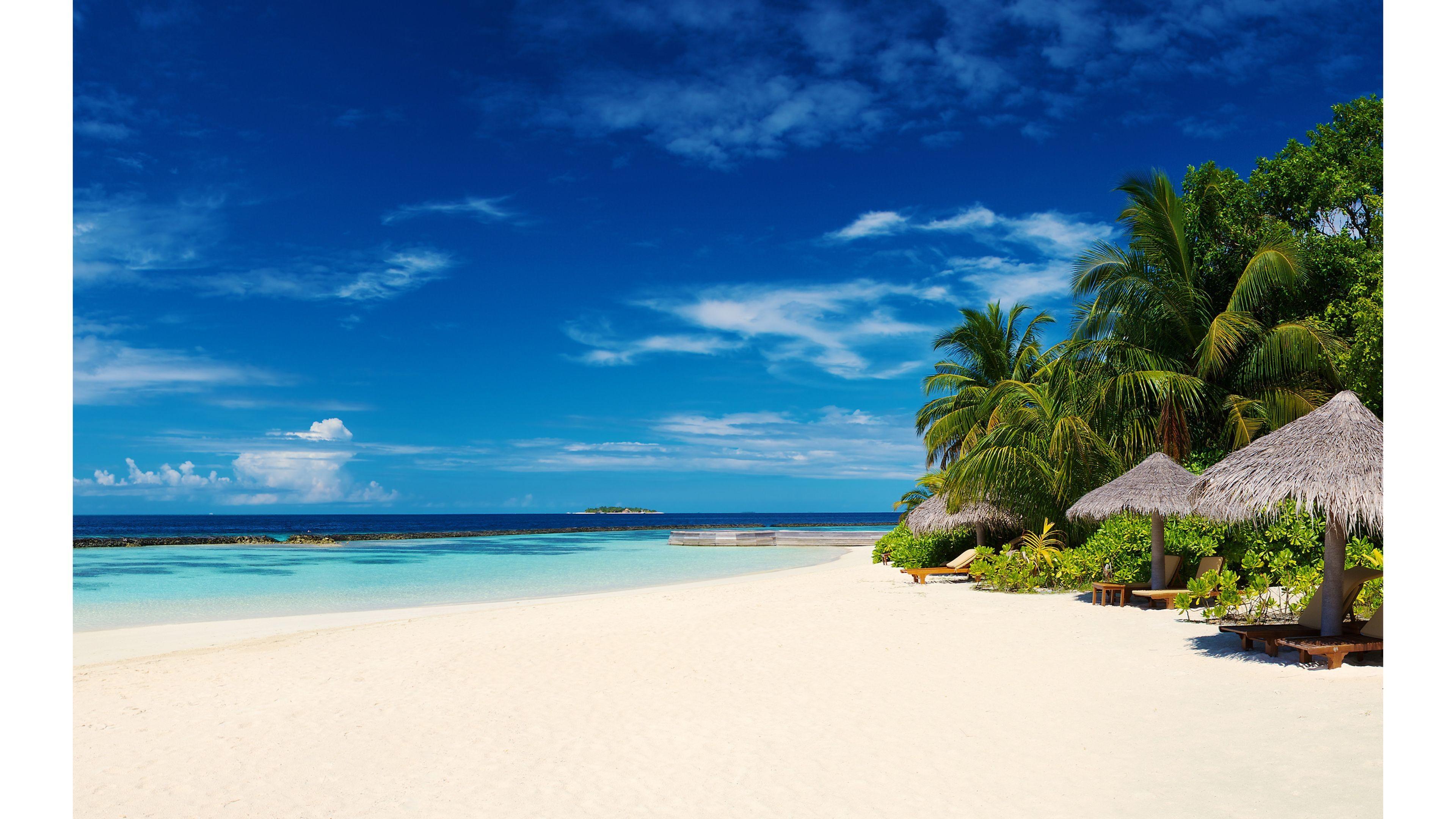 Island Of Blue Dolphin: Uncover Historical Fiction Insights