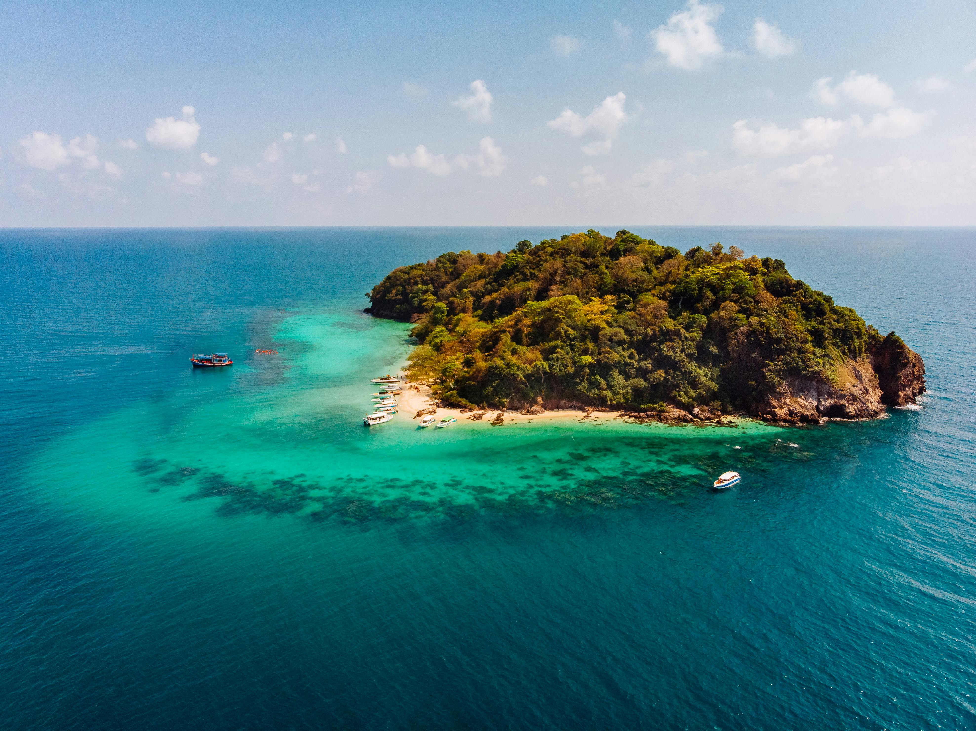 Island Of The Blue Dolphin: Discover Survival Secrets
