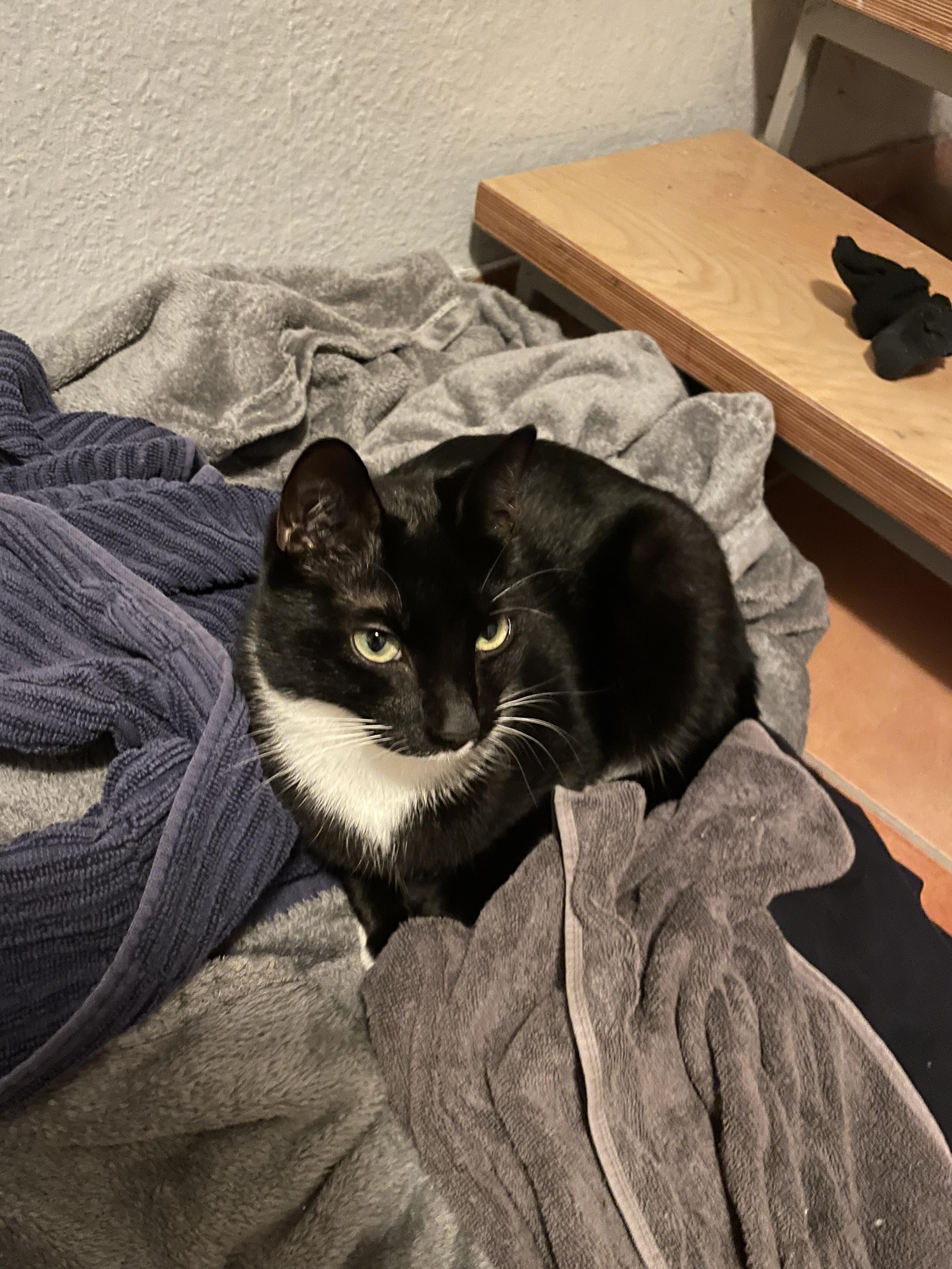 J.t: Find Out How Old He Is Now