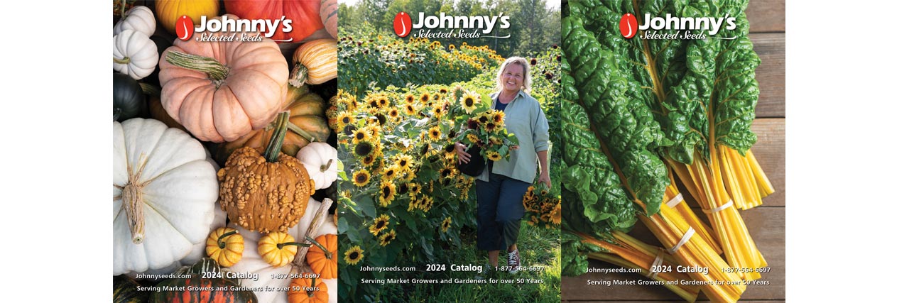 Johnny Select Seeds: Highquality Crop Solutions