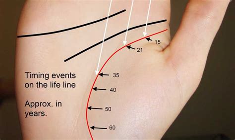 Life Line In Palmistry How To Read