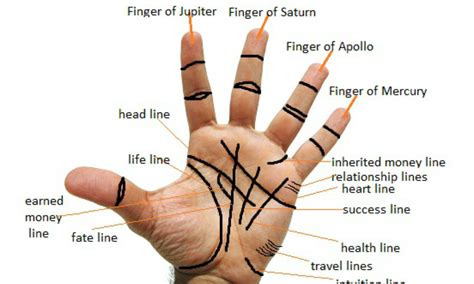 Life Line On Palm: Reveals Your Future