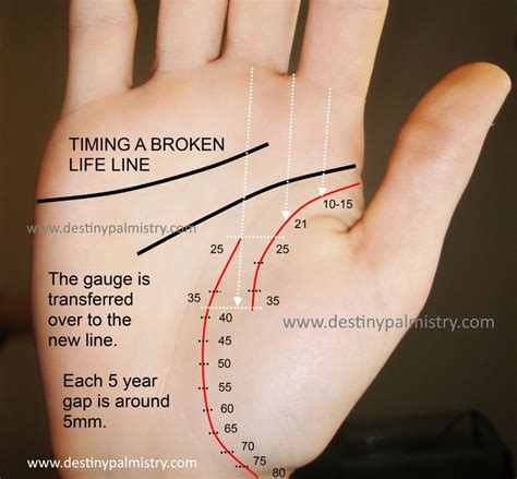 Life Line On Your Palm