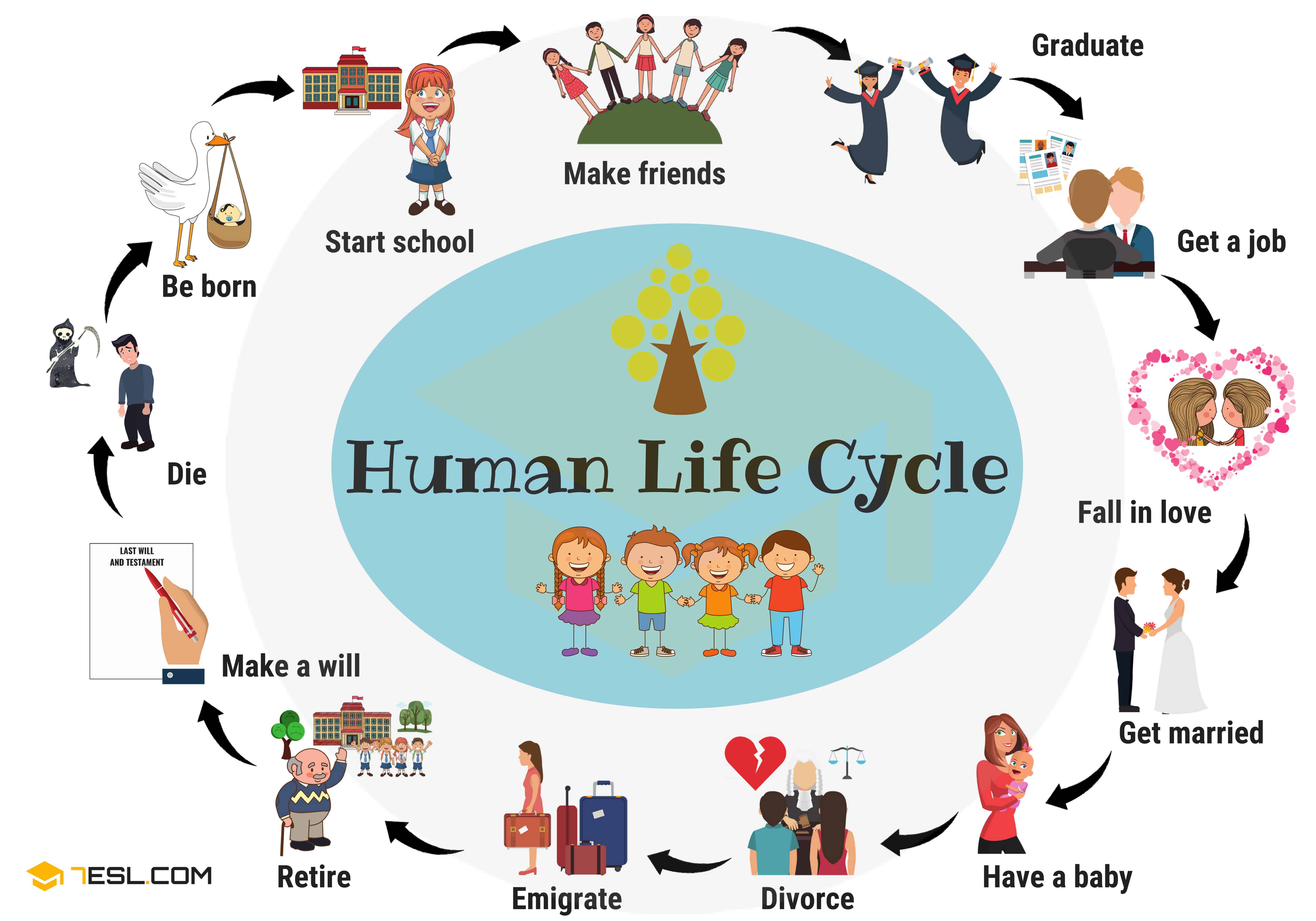 Life Line Palmistry