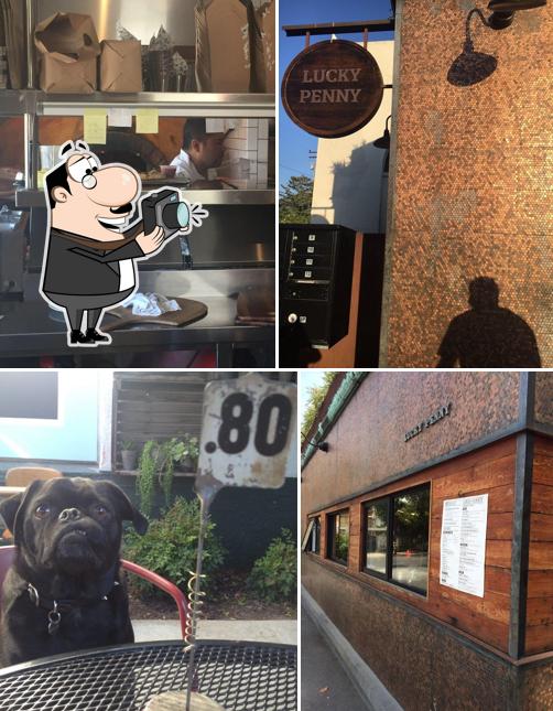 Lucky Penny Santa Barbara: Discounts You Need