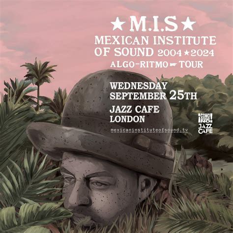 Mexican Institute Of Sound