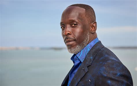 Michael K Williams' Death