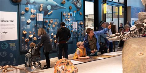 Museum Exhibits Uncovered: Comprehensive Visits