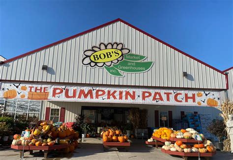 Naked Ladies Bob S Market And Greenhouses