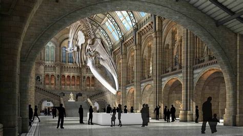 Natural History Museum Tours: Insider Guides