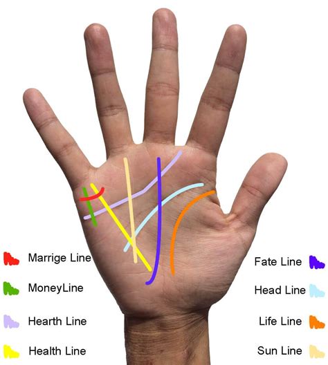 Palm Reading For Life Line