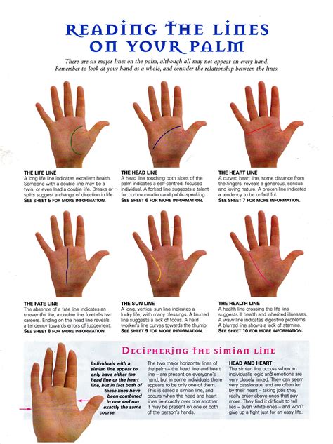 Palm Reading How To Read Palm Lines A Full Guide To Palmistry