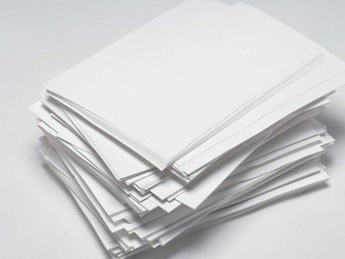 Paper Lion Book