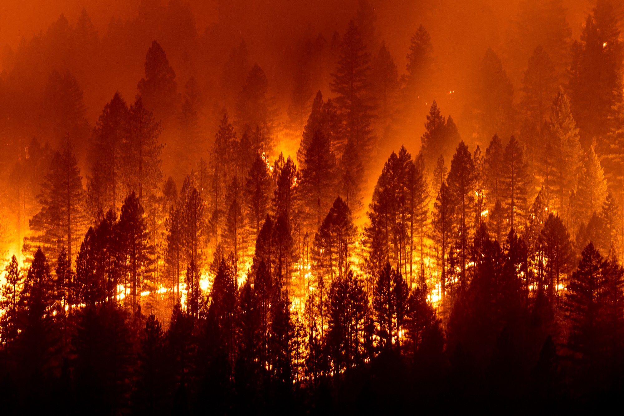 Photos Wildfire In Santa Barbara Foothills Leads To Evacuations 89 3 Photos Wildfire In Santa Barbara Foothills Leads To Evacuations 89 3
