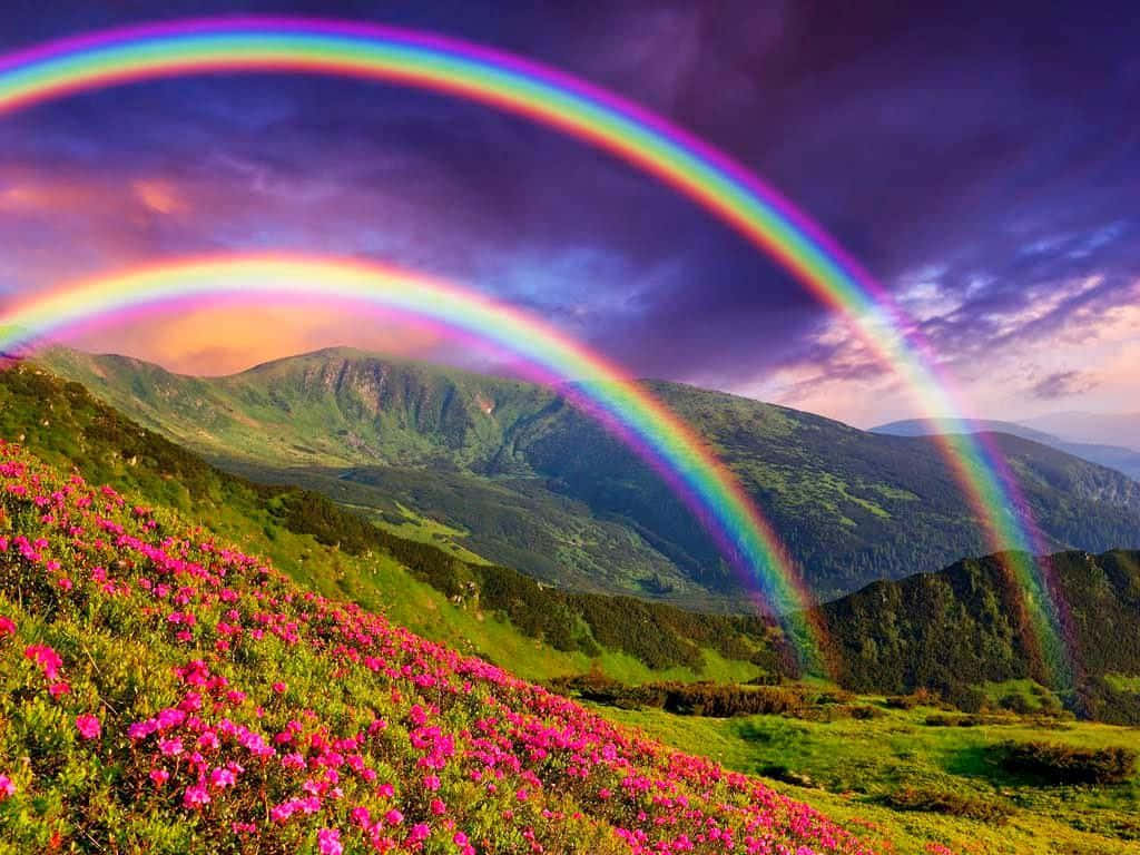 Rainbow Friends Green Guide: Learn Colors