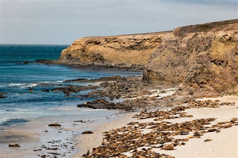 San Miguel Island Channel Islands