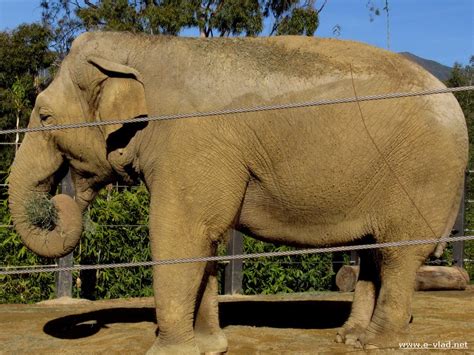 Santa Barbara California Santa Barbara Zoo Is The Perfect Family Day Santa Barbara California Santa Barbara Zoo Is The Perfect Family Day