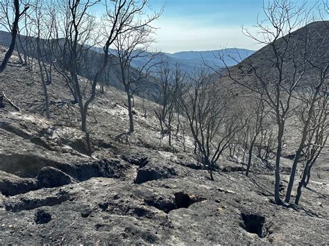Santa Barbara Fire