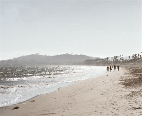 Santa Barbara Garden Guide: Find Hidden Gems Quickly