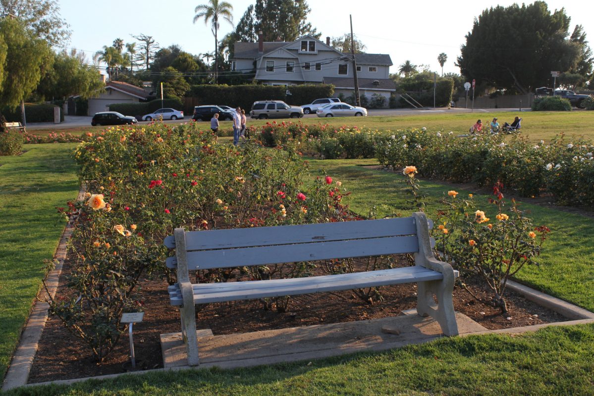 Santa Barbara Mission Rose Garden: Blooming Beauty Awaits