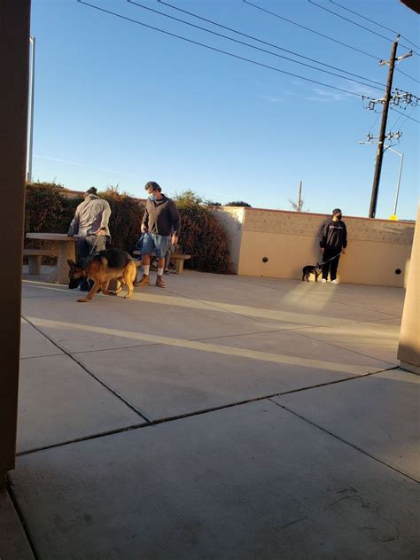 Santa Maria Humane: Adopt Love Today