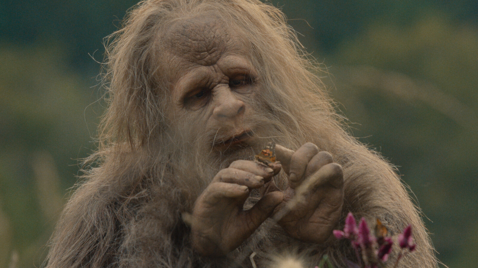 Sasquatch Music Festival