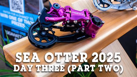 Sea Otter 2025