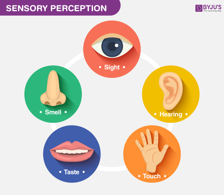 Sensory Play Kits Young Wild Friedman Lolli And Me Sensory Play Kits Young Wild Friedman Lolli And Me