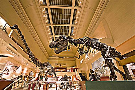 Smithsonian S National Museum Of Natural History To Build New Dinosaur