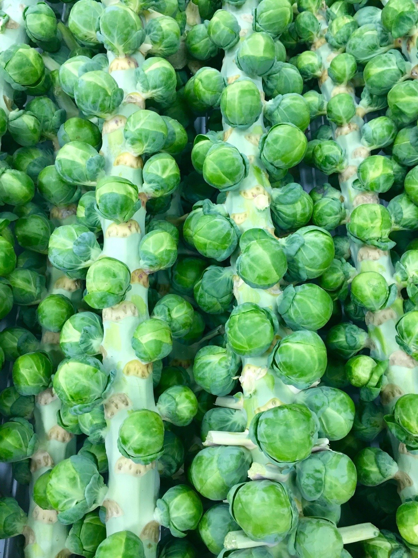 Sprouts Santa Barbara Guide: Healthy Shopping