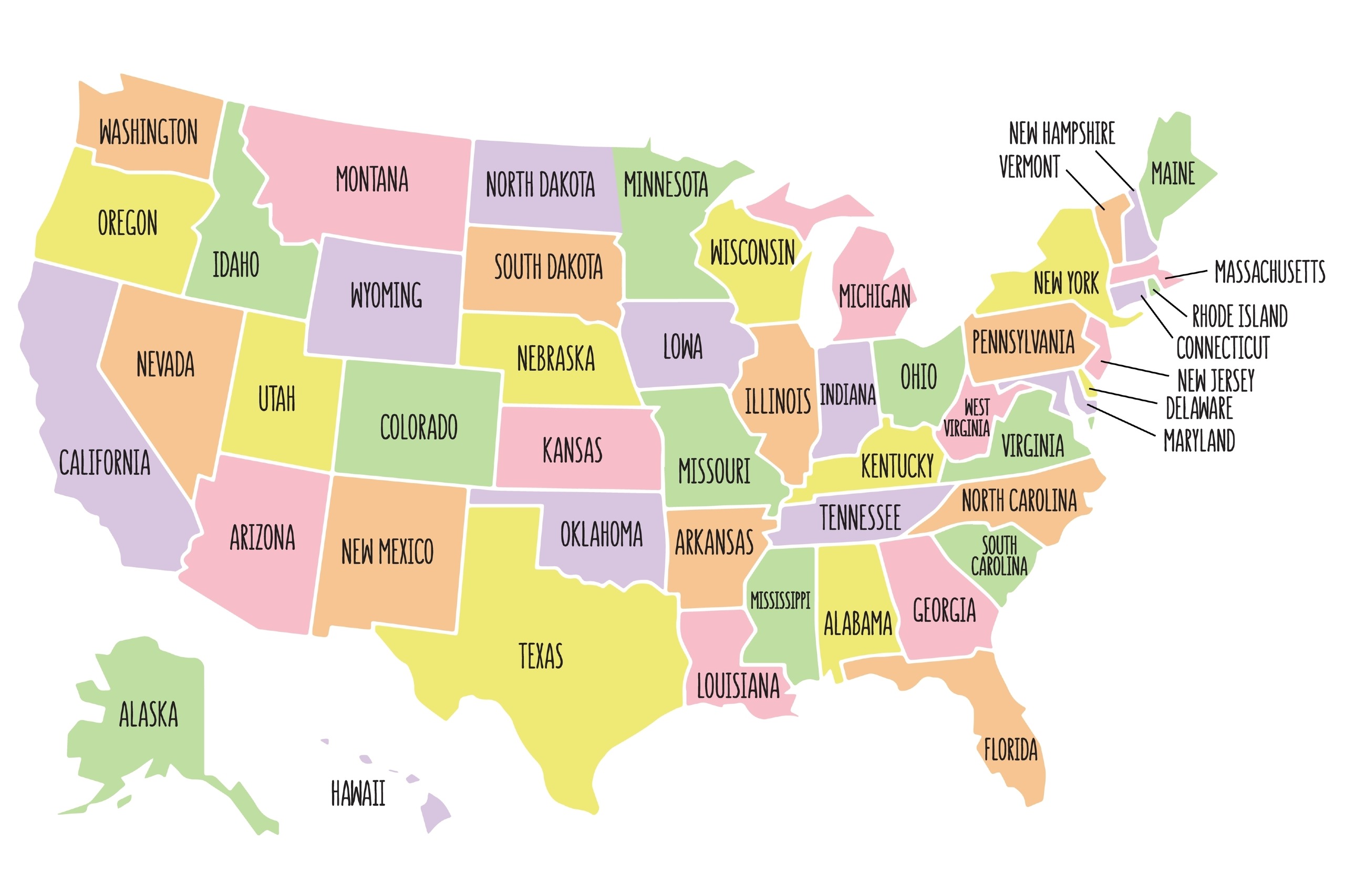 State Basics Covered: Facts Inside