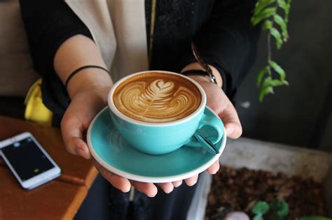 Studio City Coffee Shops: Find Your Perfect Brew