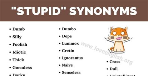 Stupid Synonyms Uncovered: Expand Your Vocabulary
