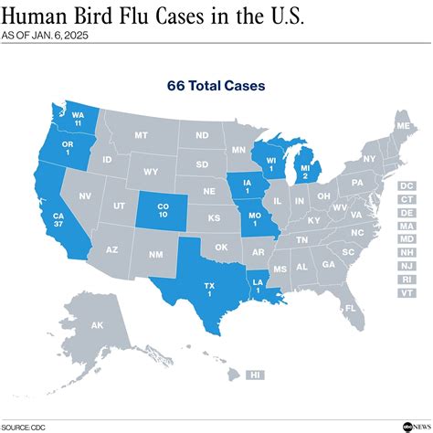 Texas Bird Flu