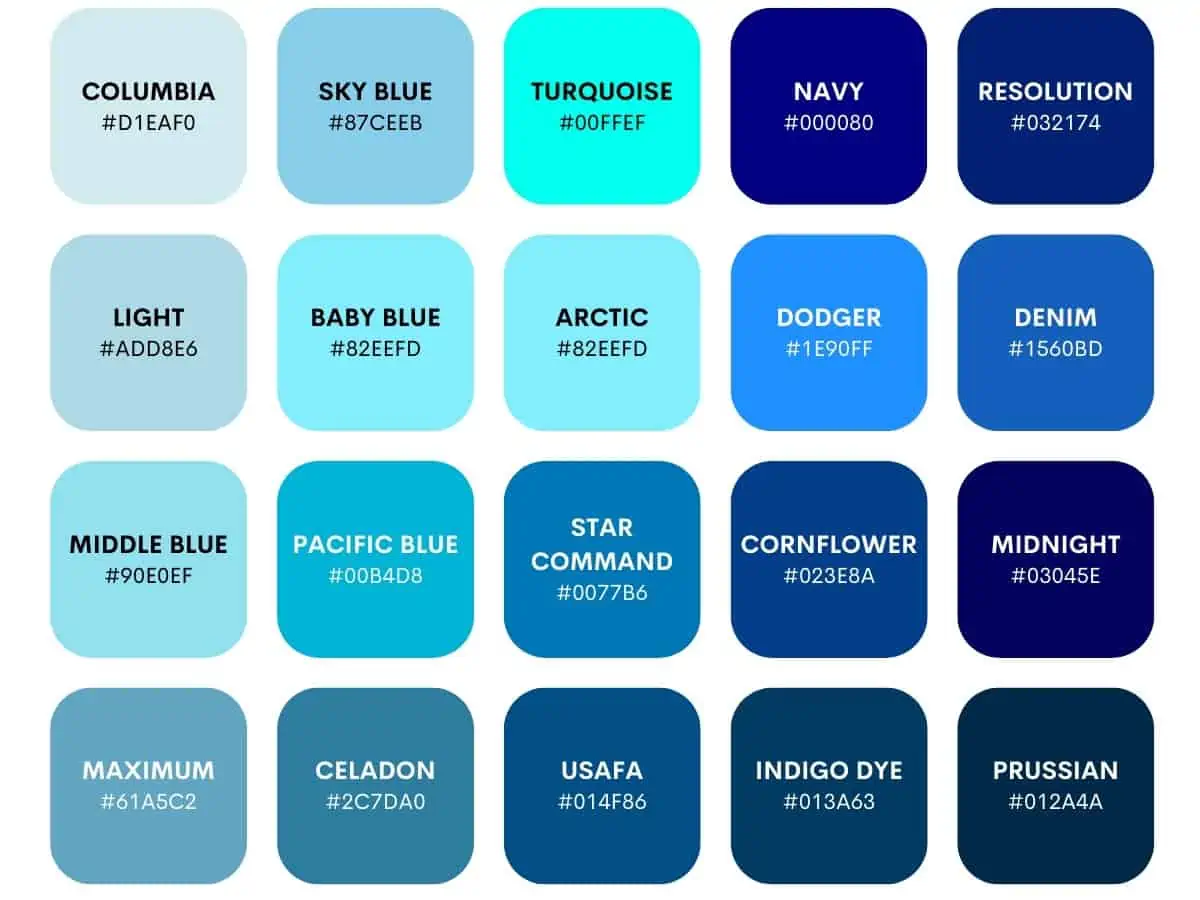 The Blue Owl Santa Barbara: Discover Best Coffee