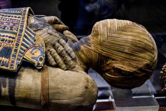 The Mummy Tomb Of Dragon