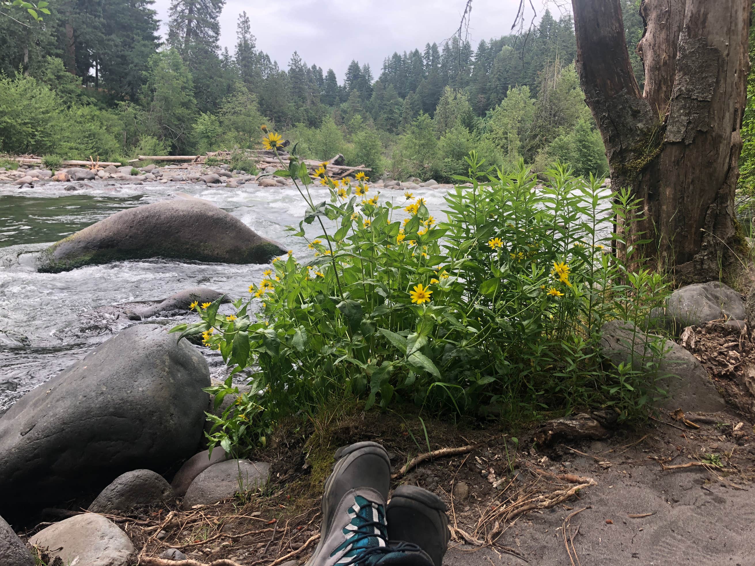 Tucker Park Oregon