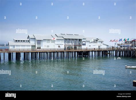 Ty Warner Sea Center