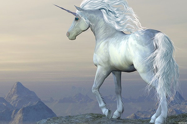 Unicorn Art Installation At Harry Christison Blog Unicorn Art Installation At Harry Christison Blog