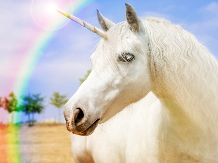 Unicorn Crafts: Easy Projects Revealed