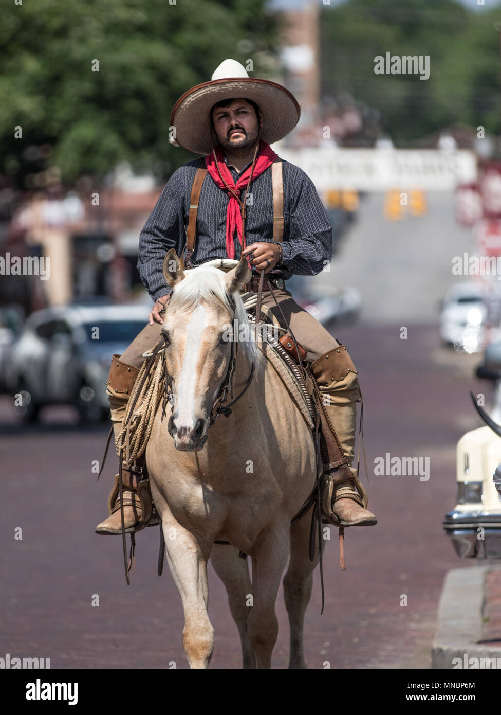 Vaquero: Uncover The Rich History And Culture Behind