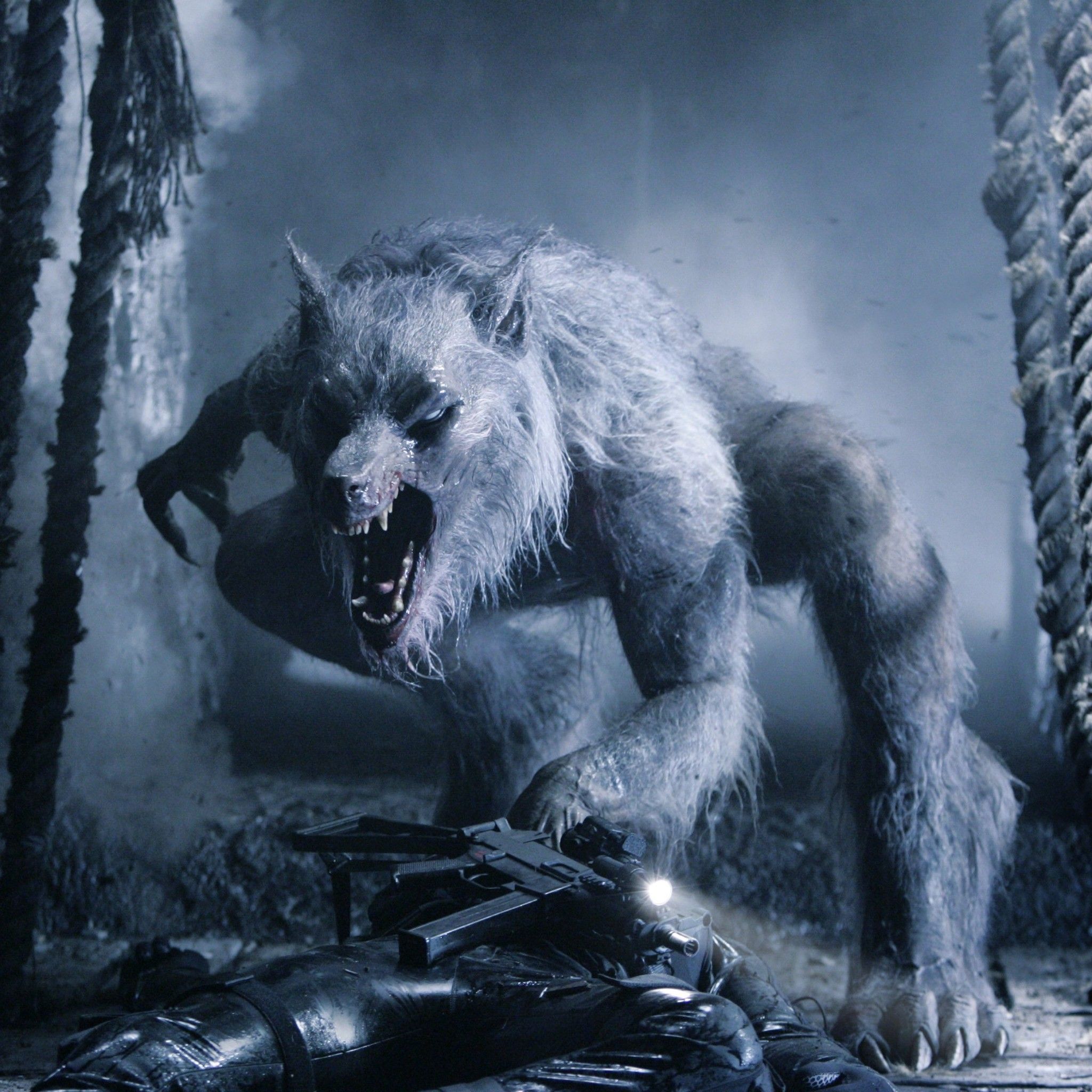 Werewolves In London