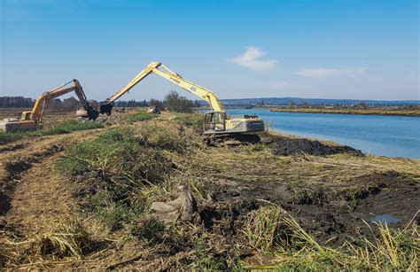 Wetland Restoration Environmental Science Associates