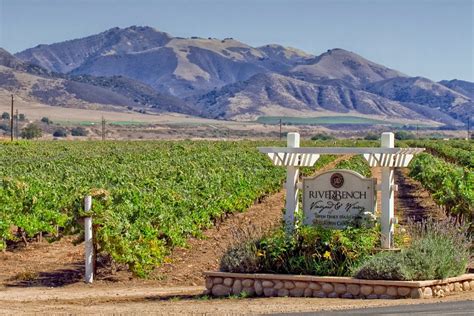 What Are Best Santa Barbara Wineries? Insider Picks
