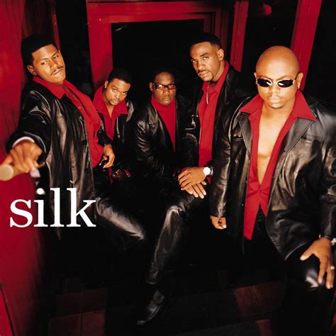 What Are Silk Group Members? Expert Insights
