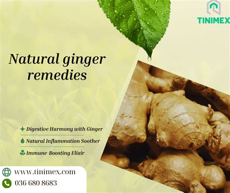 What Heals Faster With Rosa And Ginger? Natural Remedies